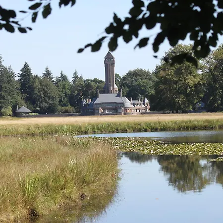Tasteful With Veranda In The Veluwe *