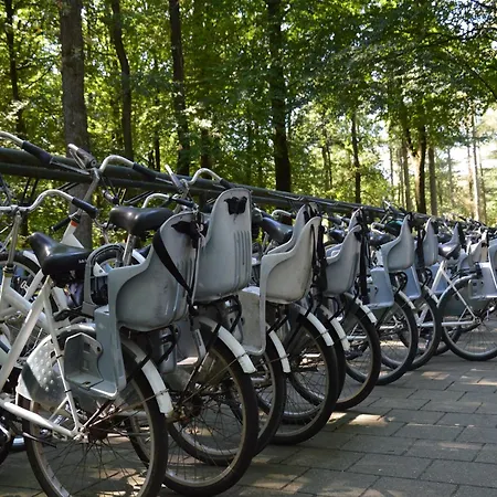 With Balcony In Veluwe Chalet Garderen