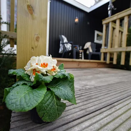 With Balcony In Veluwe Chalet *