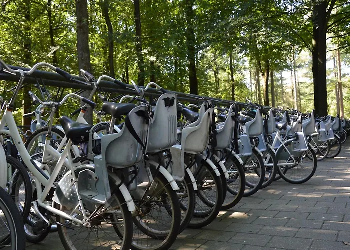 With Balcony In Veluwe Chalet Garderen