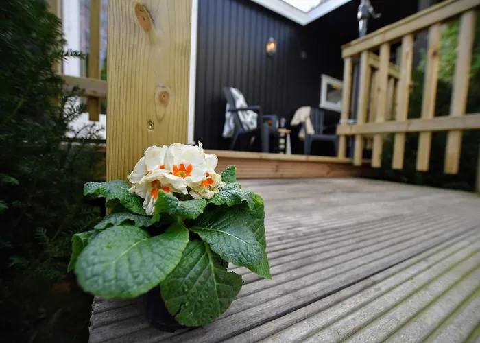 With Balcony In Veluwe Chalet *