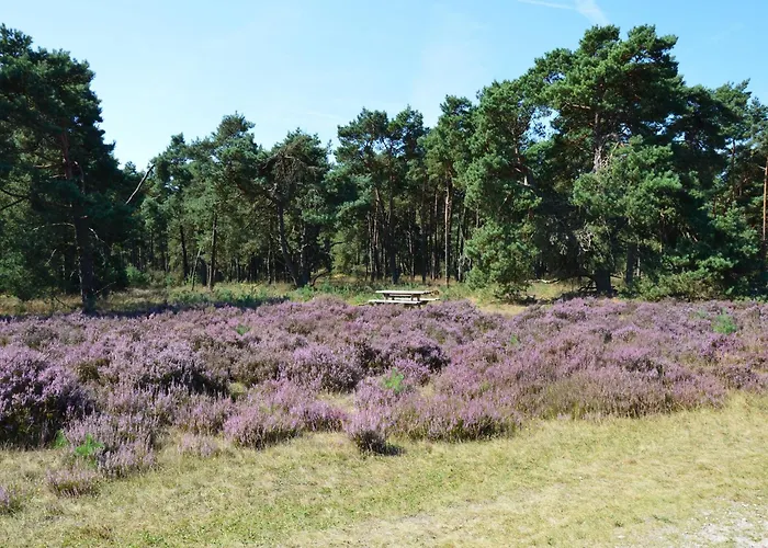 With Balcony In Veluwe